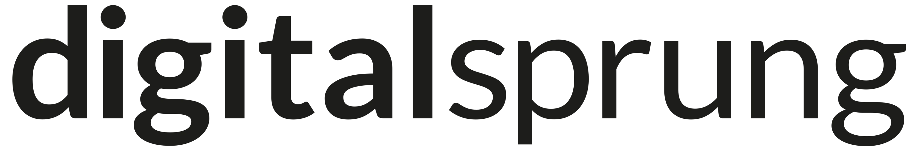 digitalsprung